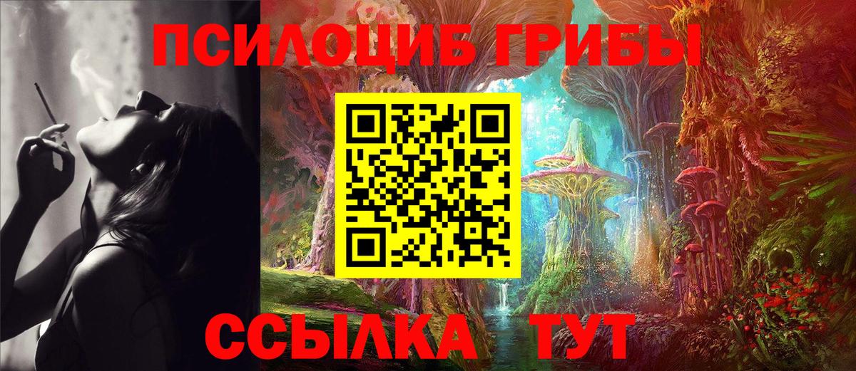 Галлюциногенные грибы мицелий Тельмана