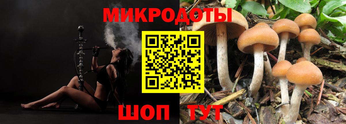 Псилоцибиновые грибы ЛСД  Вход с VPN  Тельмана  Галлюциногенные грибы ЛСД 